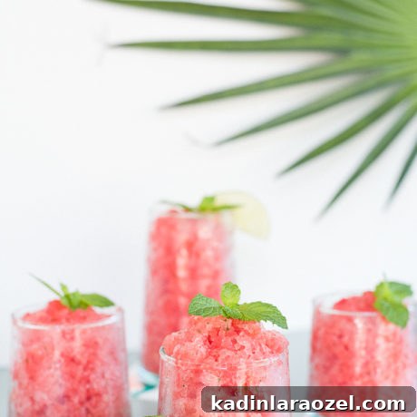 Watermelon Granita Recipe: Refreshing Melon Head Granita (Alcohol Optional) 7 img 85233 6