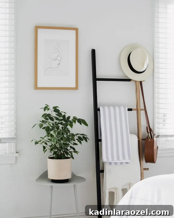 Blanket ladder leaning against white wall with plants and artwork, in bedroom