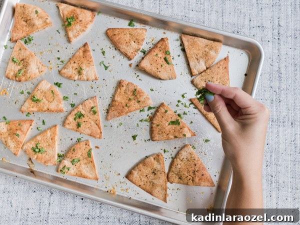 sprinkle homemade pita chips with seasonings on a baking pan