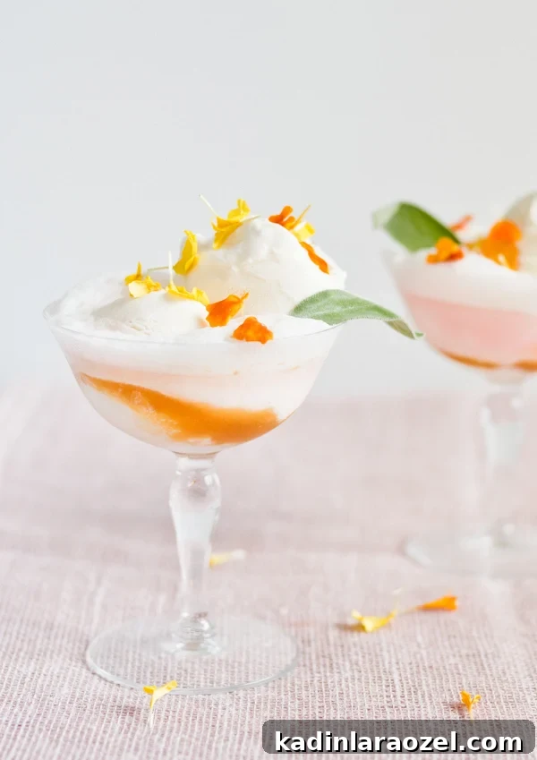 3 Refreshing Ice Cream Recipes for Summer Desserts 13 Peaches and cream soda floats! It's a must-try for summer entertaining. #sodafloats #entertainingrecipes #icecreamfloats #peachesandcream