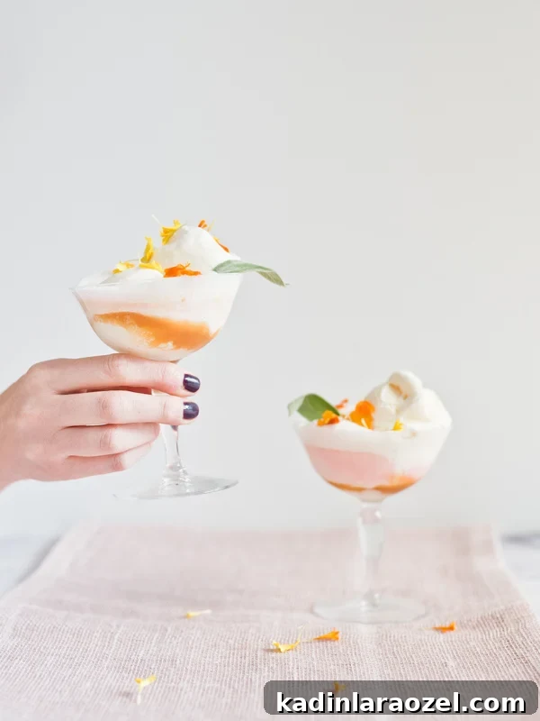 3 Refreshing Ice Cream Recipes for Summer Desserts 8 Peaches and cream soda floats! This tastes so delicious. It's a must-try for summer entertaining. #sodafloats #entertainingrecipes #icecreamfloats #peachesandcream