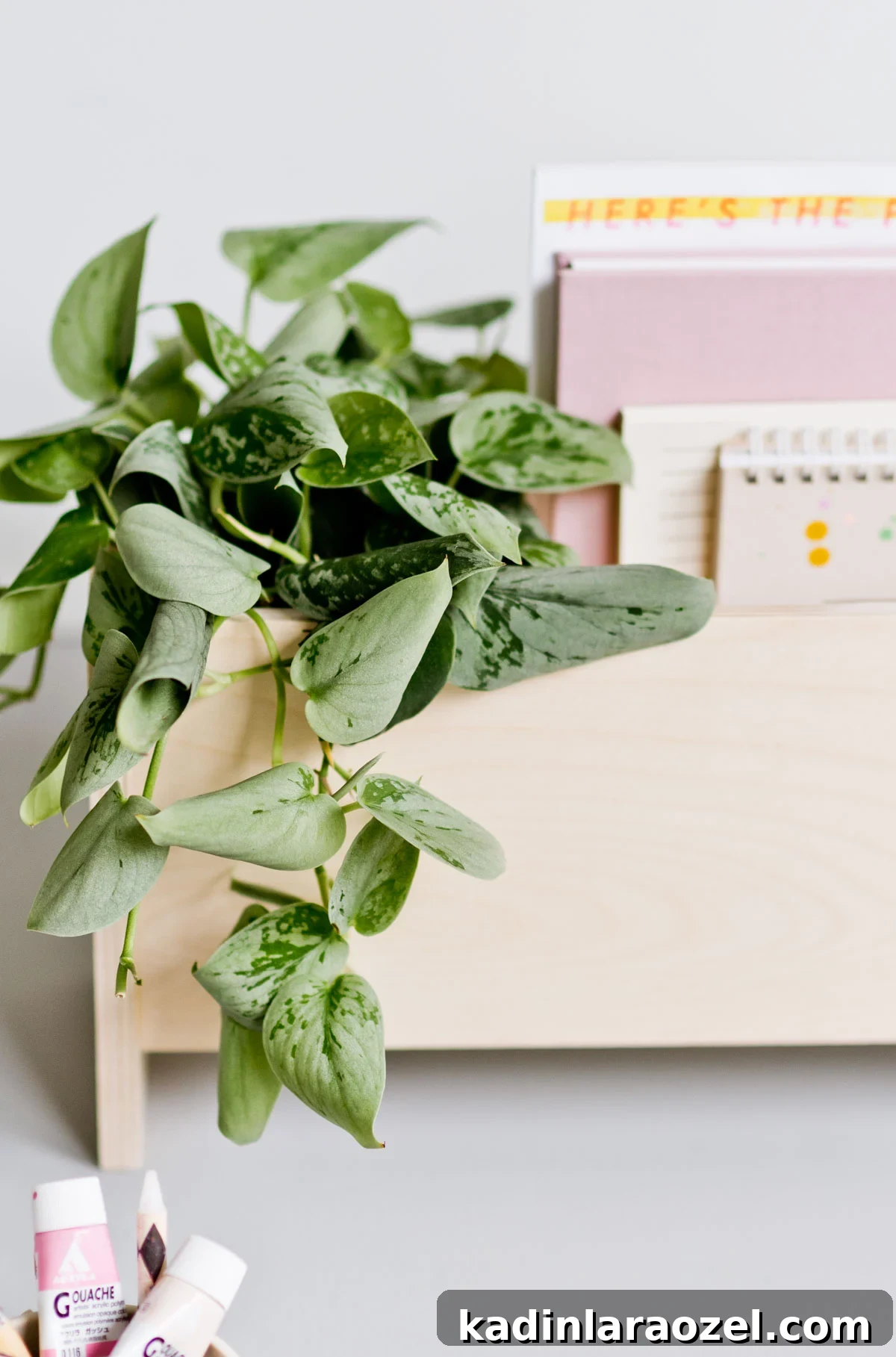 DIY Wooden Desk Organizer: Step-by-Step Build Guide 4 Closeup of plant flowing out of wood organizer, sitting on a desk