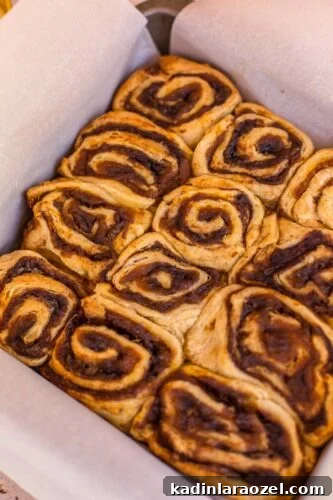Pumpkin Cinnamon Rolls with Cream Cheese Glaze 9 img 86048 8