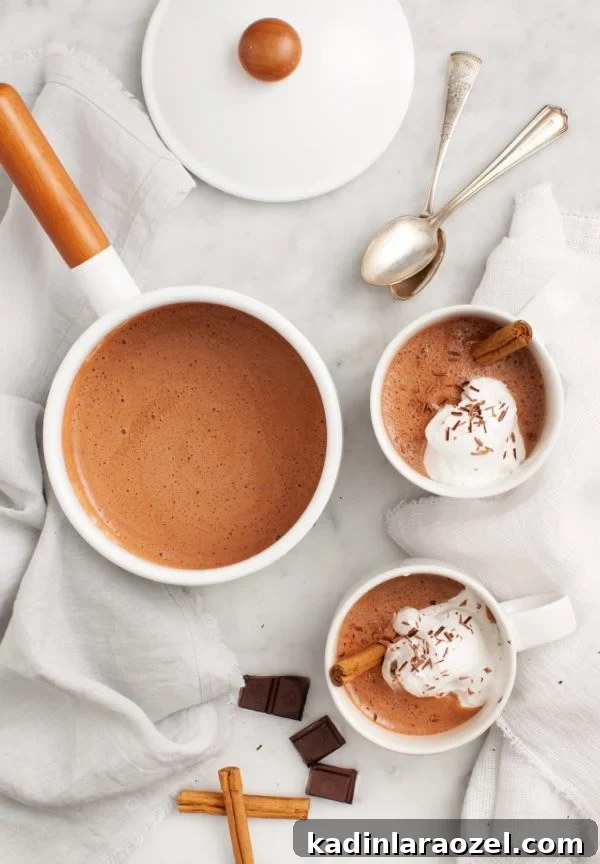11 Irresistible Fall Recipes You’ll Crave This Season 3 making hot chocolate on the stove with two cups and marshmallows in modern clean style