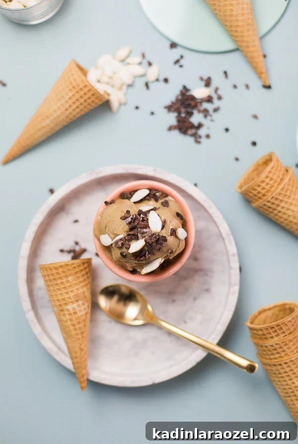 11 Irresistible Fall Recipes You’ll Crave This Season 10 Pumpkin chai nice cream recipe!