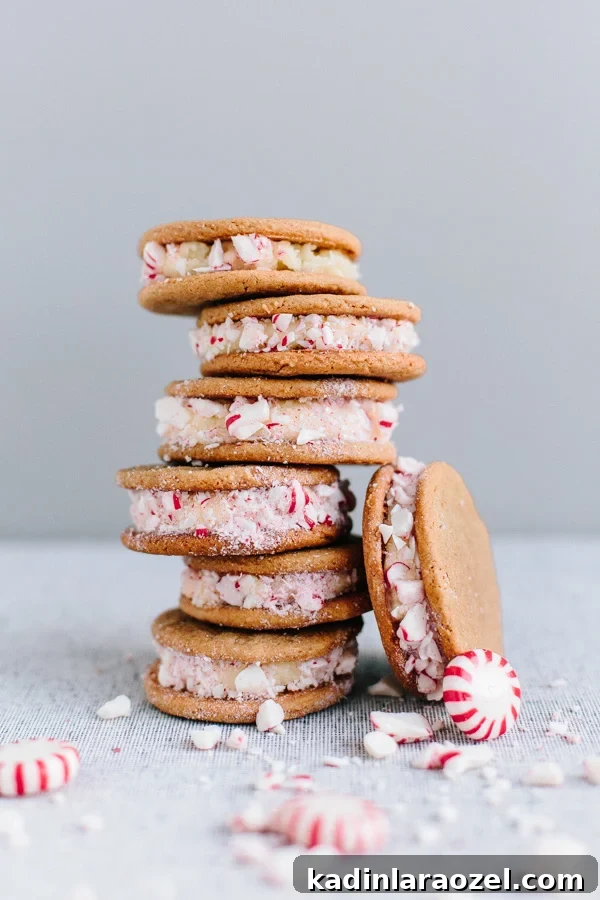 Gingerbread Eggnog Christmas Cookies — Cookie Monster Recipe 2 Christmas cookie sandwiches stacked on top of each other with crushed up peppermints surrounding them.