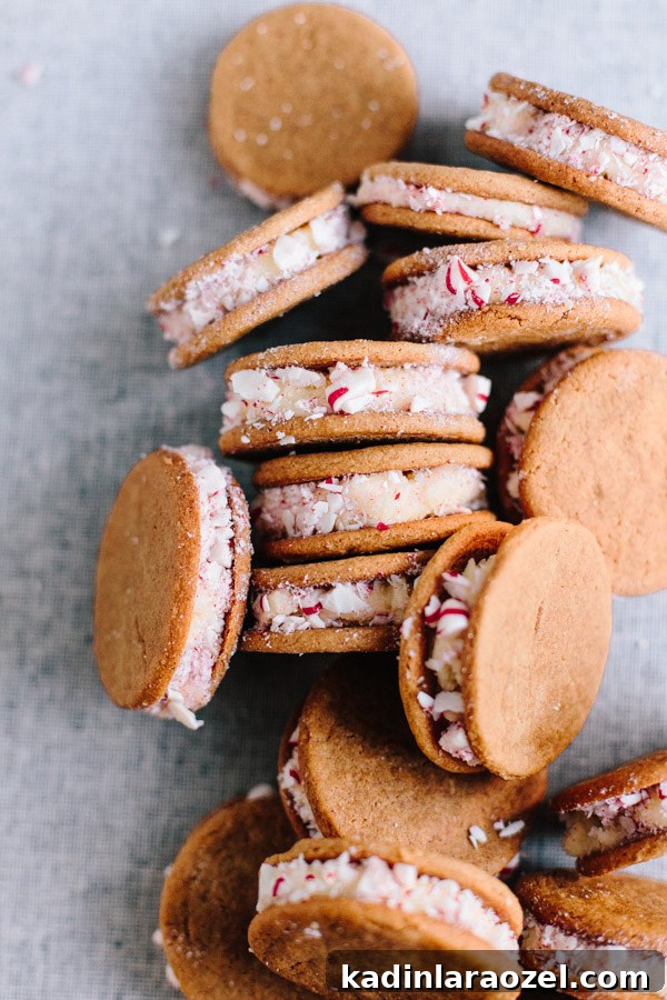 Gingerbread Eggnog Christmas Cookies — Cookie Monster Recipe 3 Holiday cookies with crushed up candy canes sprinkled on top