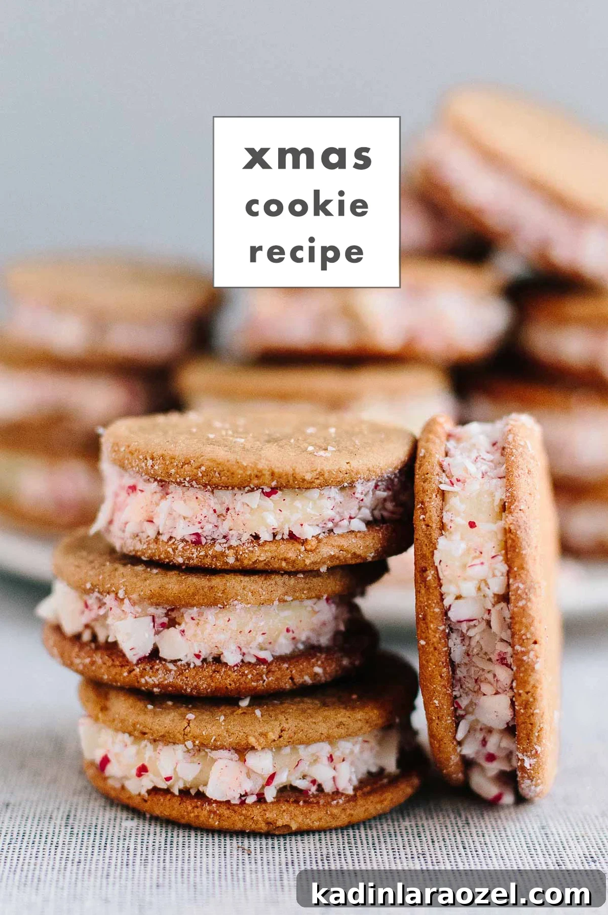 Gingerbread Eggnog Christmas Cookies — Cookie Monster Recipe 4 Three stacked holiday cookies closeup with one cookie on it's side