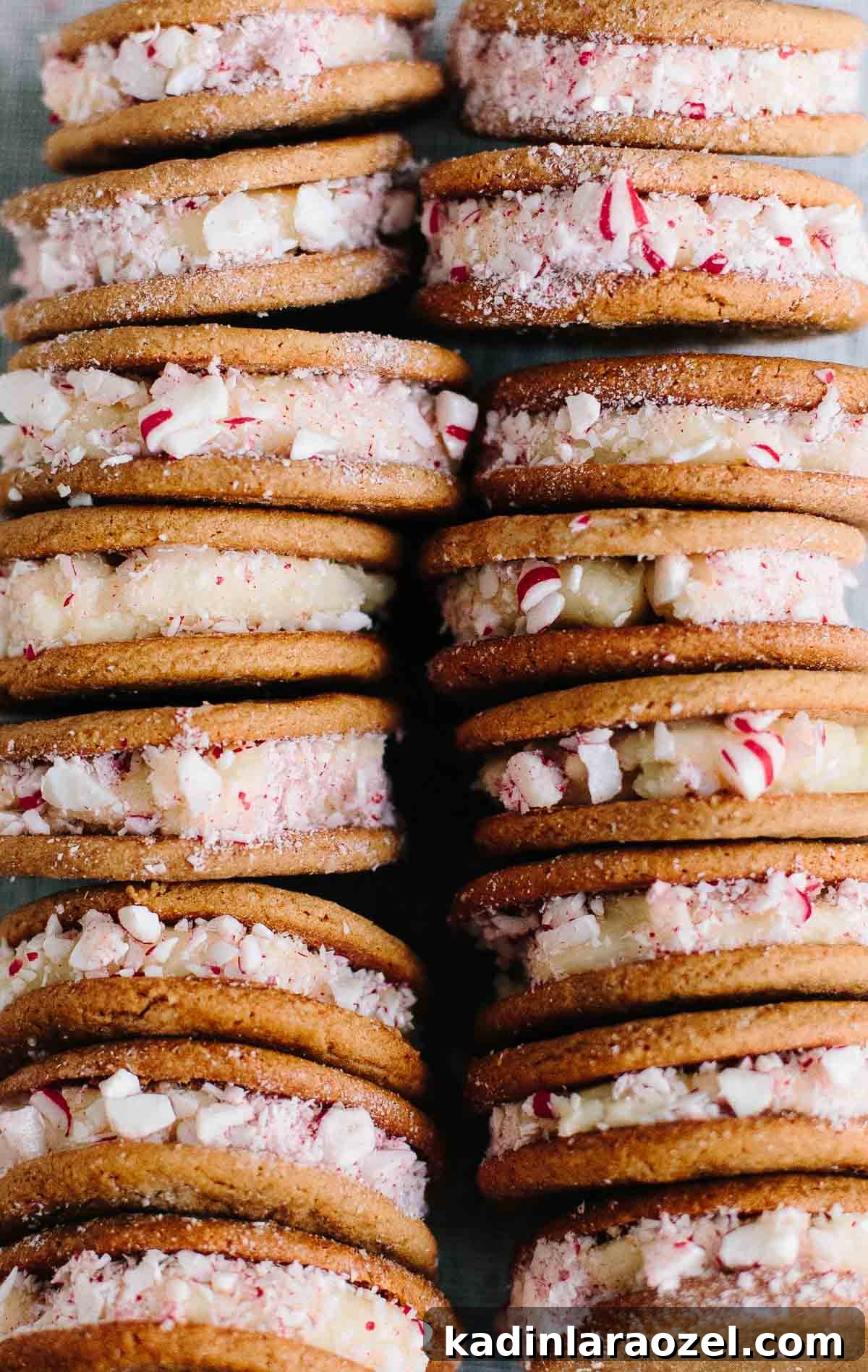 Gingerbread Eggnog Christmas Cookies — Cookie Monster Recipe 5 Close up image of Christmas cookies with egg nog icing and crushed candy cane.