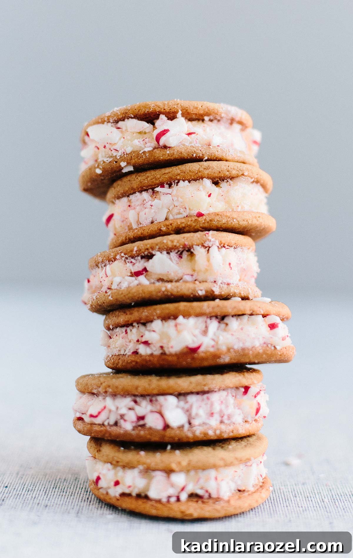Gingerbread Eggnog Christmas Cookies — Cookie Monster Recipe 6 Stacked Christmas cookie sandwiches with grey background