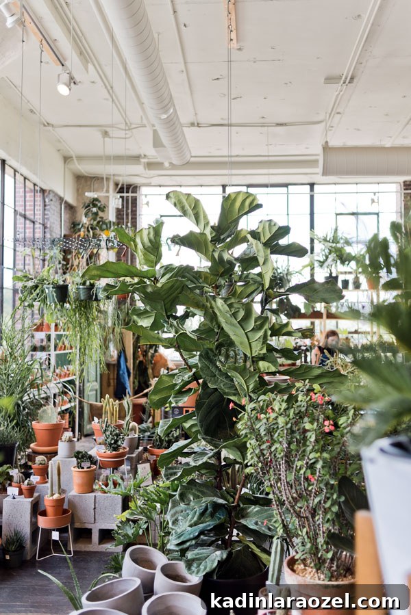 Atlanta Strolls: My Favorite Spots to Escape the House 4 img 86424 4