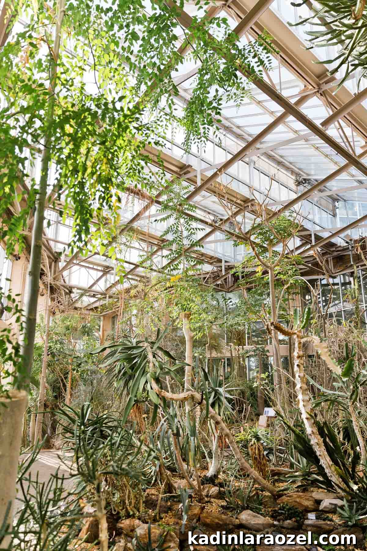 5 Unexpected Date Ideas to Try Tonight 10 5 Unique Date Ideas That You Might Not Have Thought to Try. Idea #1: Botanical Gardens #dateideas #uniquedate #botanicalgarden #tropical #plants