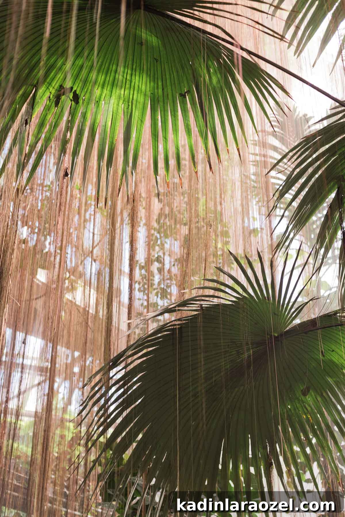 5 Unexpected Date Ideas to Try Tonight 2 5 Unique Date Ideas That You Might Not Have Thought to Try. Idea #1: Botanical Gardens #dateideas #uniquedate #botanicalgarden #tropical #plants