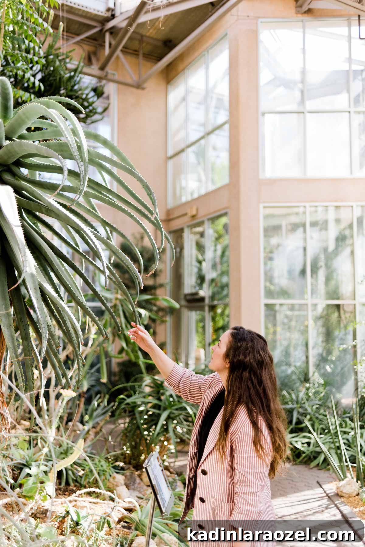 5 Unexpected Date Ideas to Try Tonight 6 5 Unique Date Ideas That You Might Not Have Thought to Try. Idea #1: Botanical Gardens #dateideas #uniquedate #botanicalgarden #tropical #plants