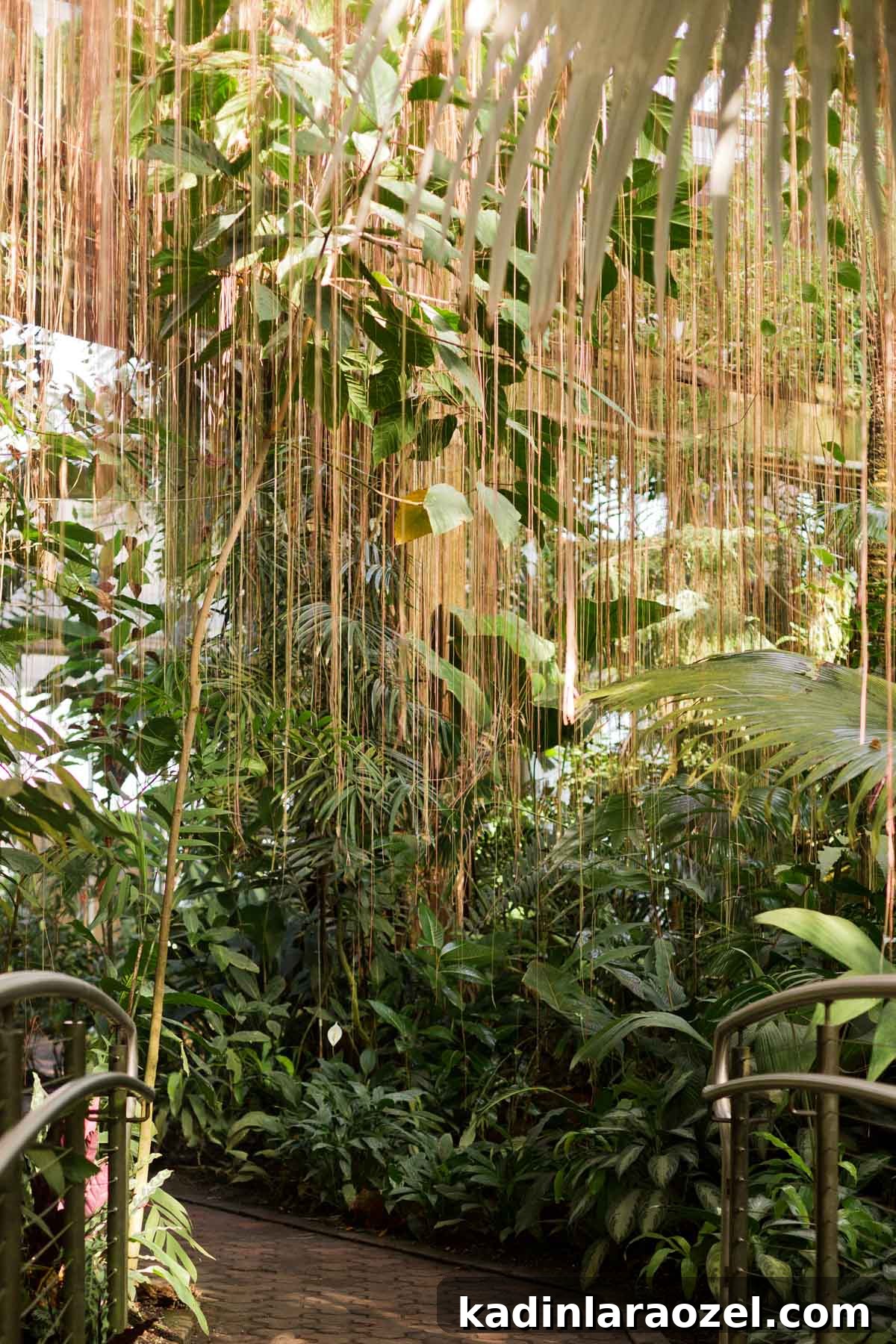 5 Unique Date Ideas That You Might Not Have Thought to Try. Idea #1: Botanical Gardens #dateideas #uniquedate #botanicalgarden #tropical #plants