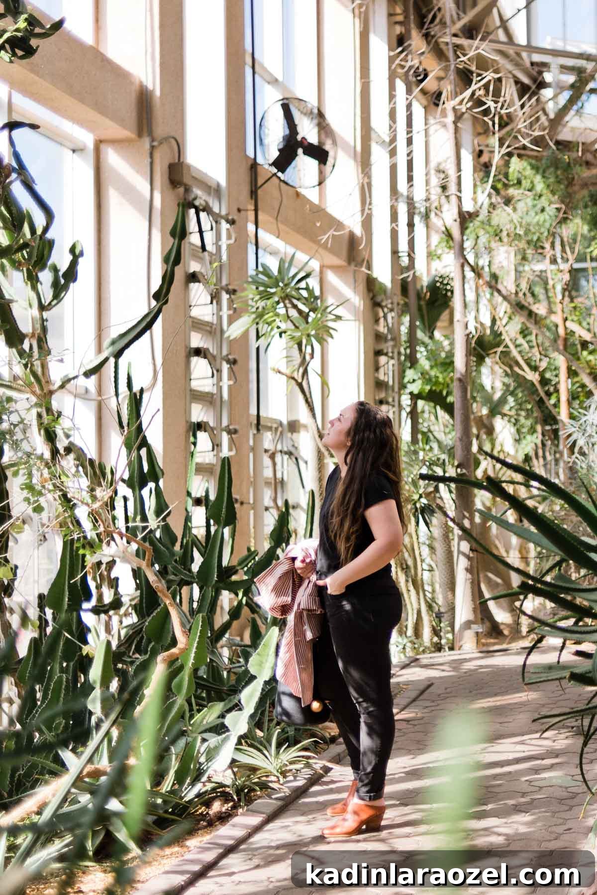 5 Unexpected Date Ideas to Try Tonight 9 5 Unique Date Ideas That You Might Not Have Thought to Try. Idea #1: Botanical Gardens #dateideas #uniquedate #botanicalgarden #tropical #plants