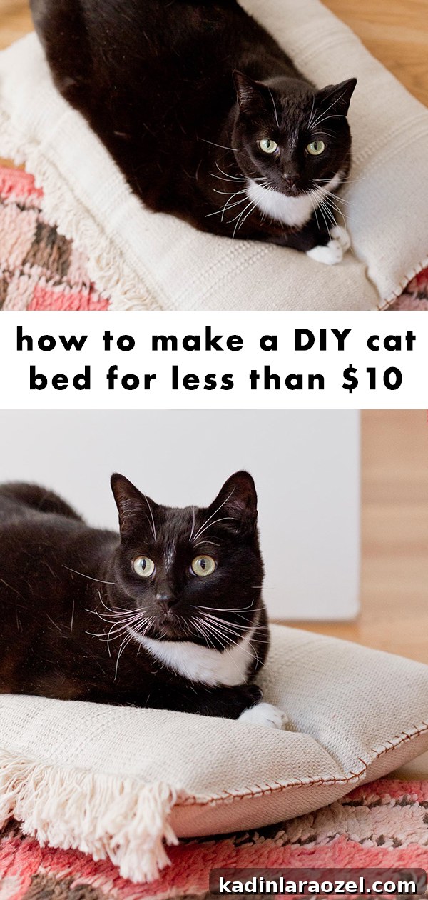 This neutral (and cute) DIY cat bed that cost less than $8 to make and takes less than an hour. #catbed #diy #pets #tuxedocat