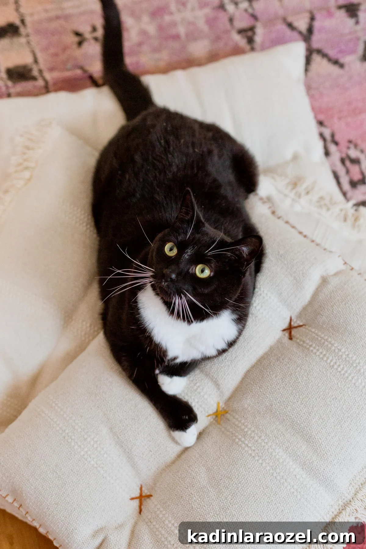 This neutral (and cute) DIY cat bed that cost less than $8 to make and takes less than an hour. 