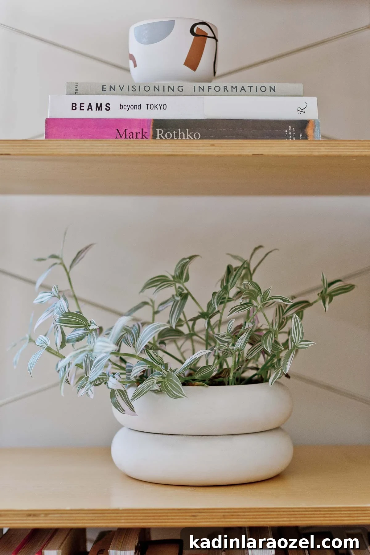 book shelf with modern plant and planter on one shelf and books styled with a candle on the other