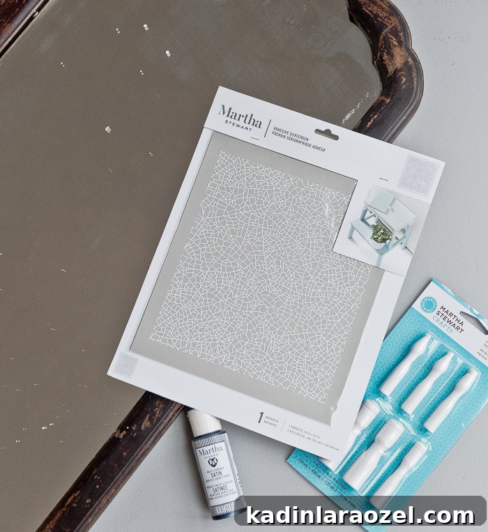 Martha Stewart stencils for DIY mirror