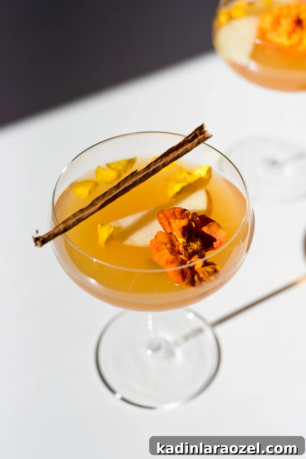 Overhead spiked cider in coupe glass with flower and cinnamon stick