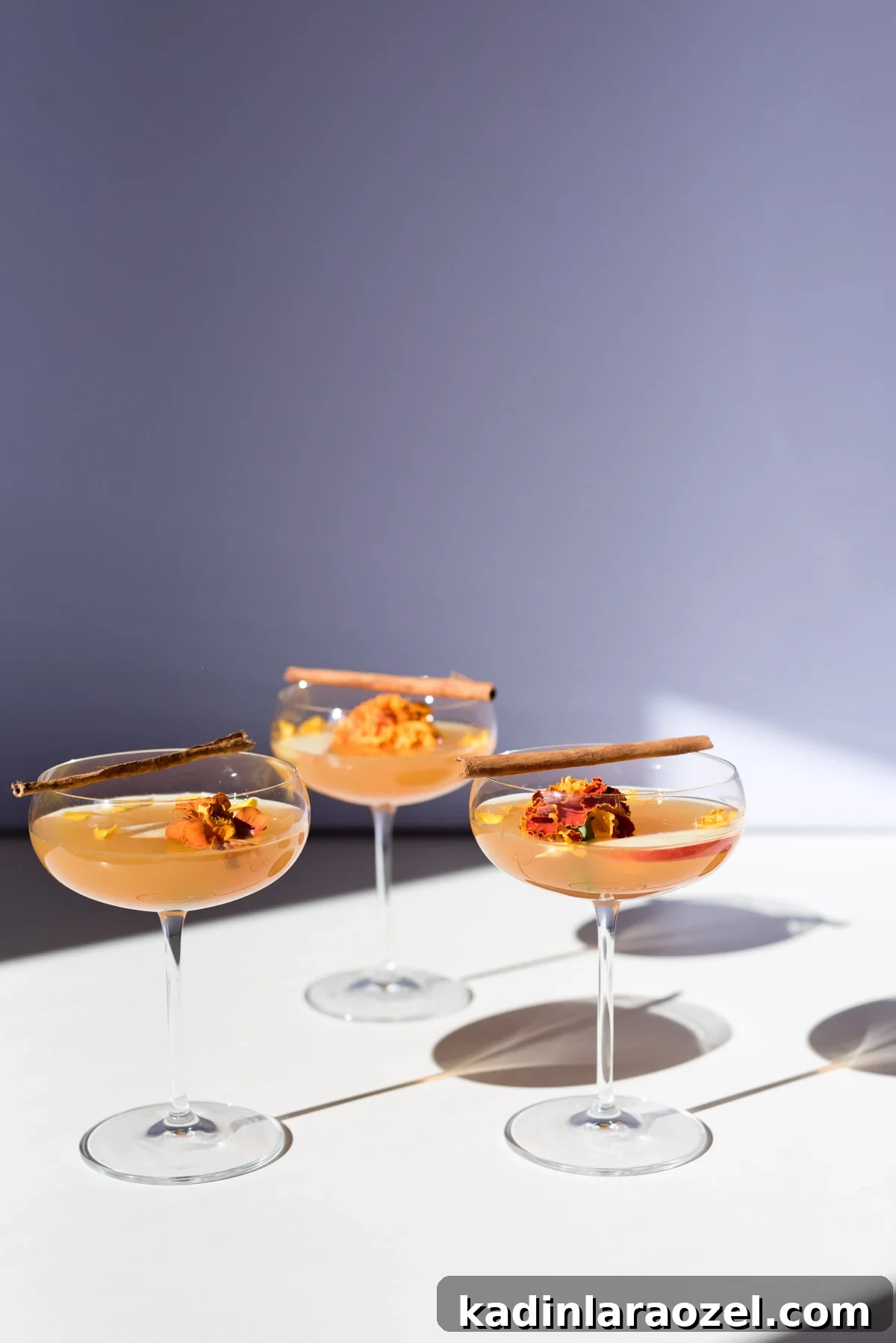 Spiked cider cocktails in coupe glasses with cinnamon sticks on top