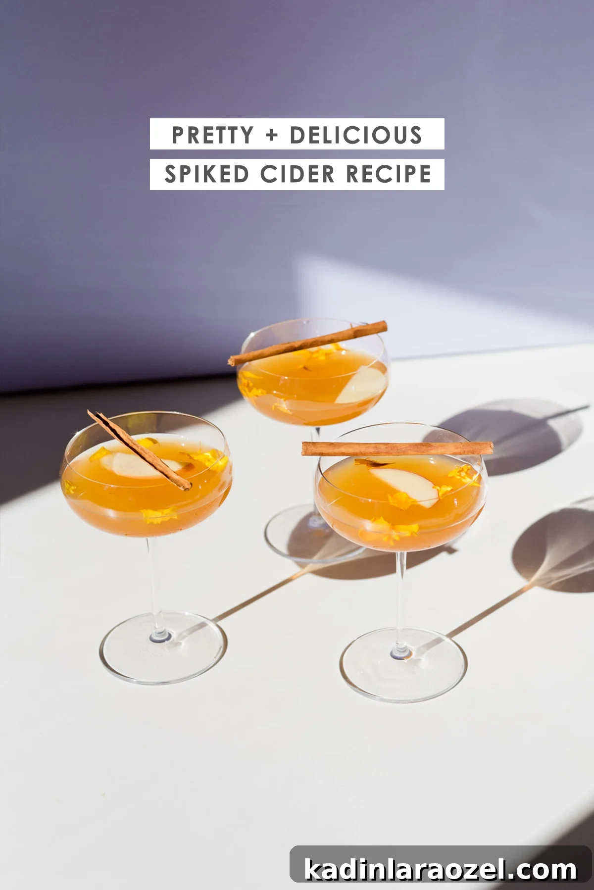 Cocktails in coupe glasses with dramatic lighting