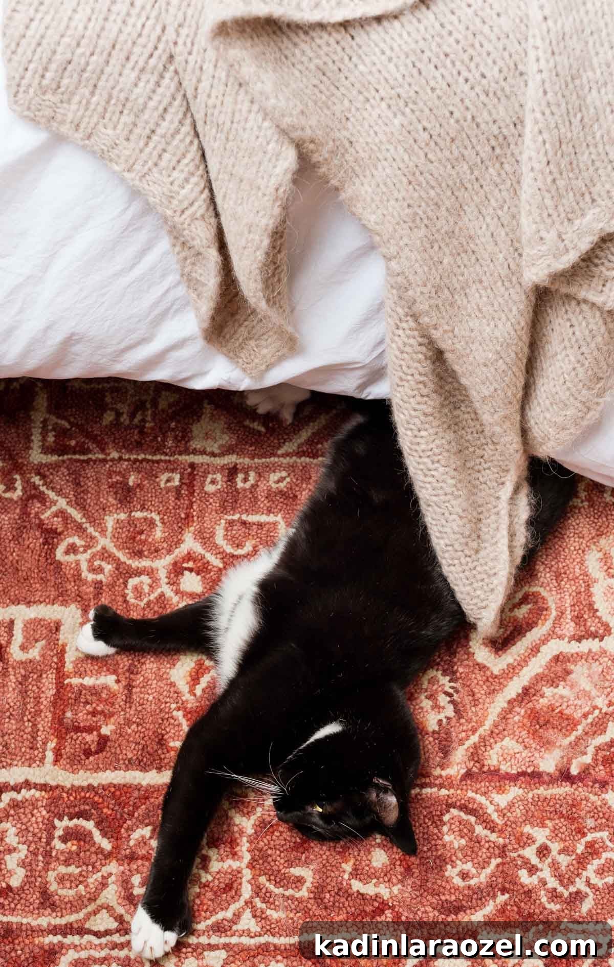 Decorate Your Home for Free: Creative Low-Cost Styling Ideas 7 black cat sprawled out on red persian rug in bedroom