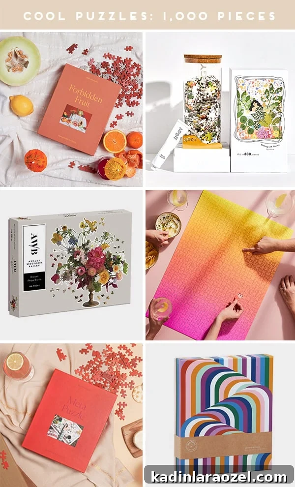 18 Cool Puzzles to Keep You Entertained Anytime 2 1,000 piece puzzles with cool designs and illustrations