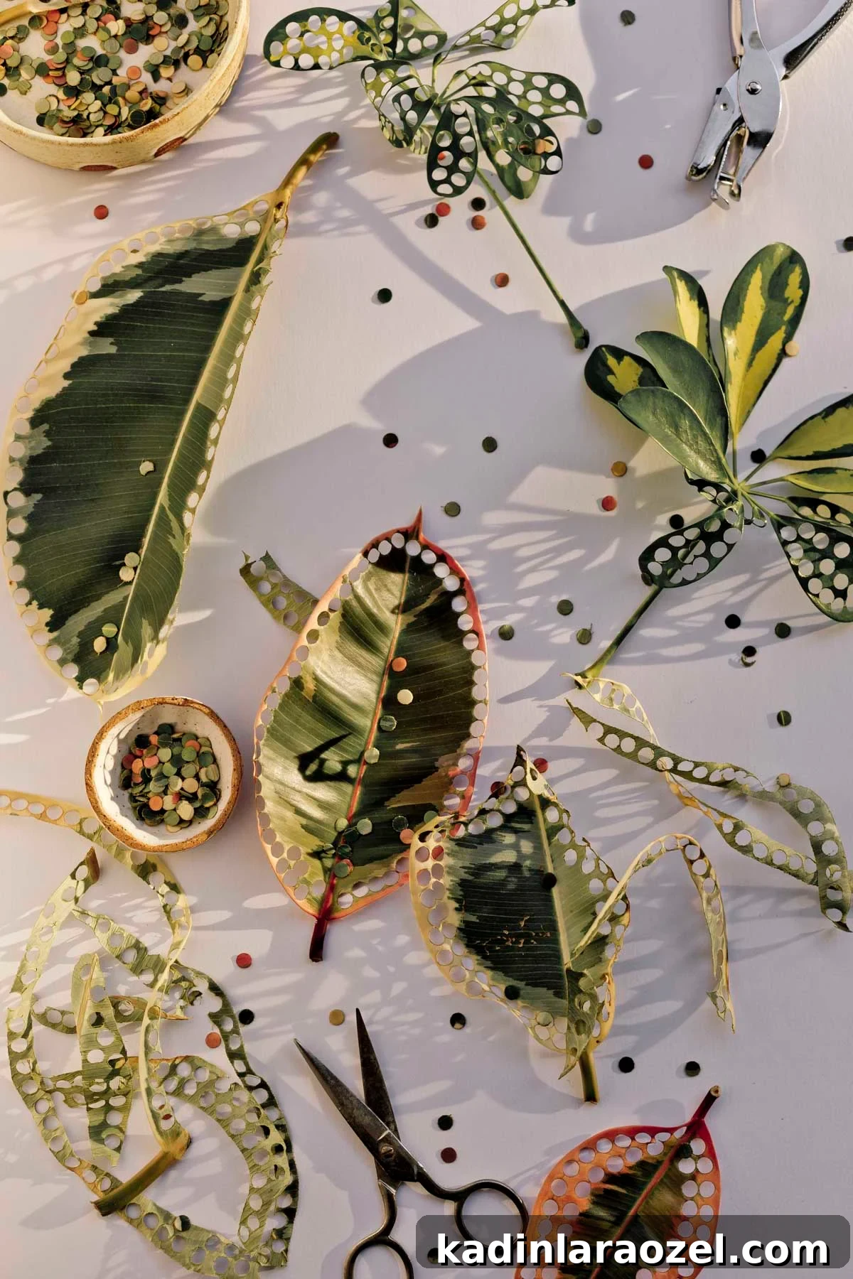 large plant leaves with holes punched in them to create biodegradable confetti for parties and celebrations 