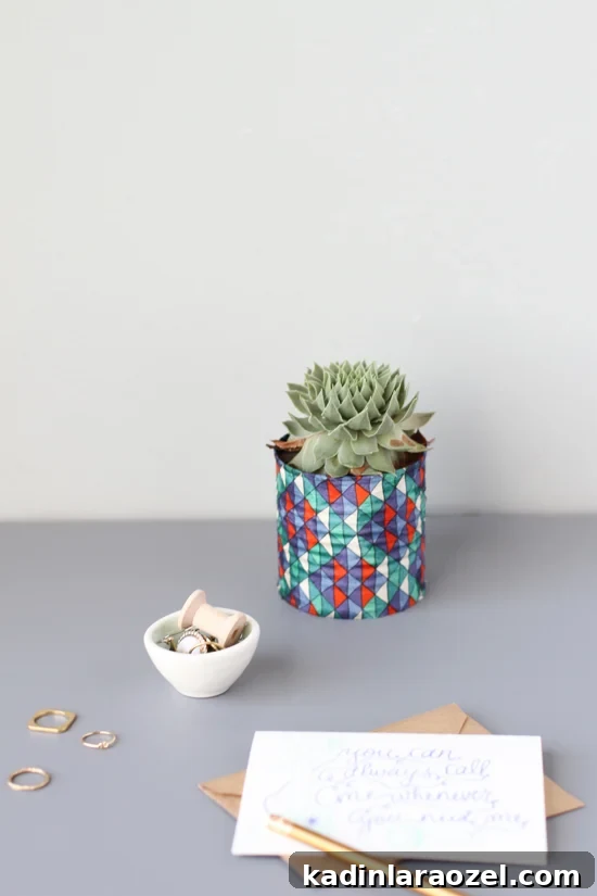 small patterned planter with succulent inside sitting on a desk