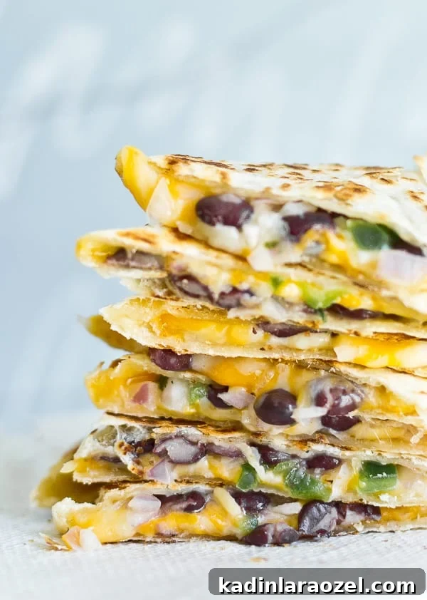 5-Minute Black Bean Quesadillas — Quick Vegetarian Recipe 5 Black bean quesadillas upclose view