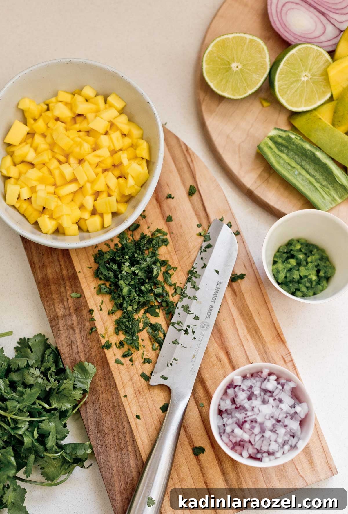 ingredients to make mango salsa