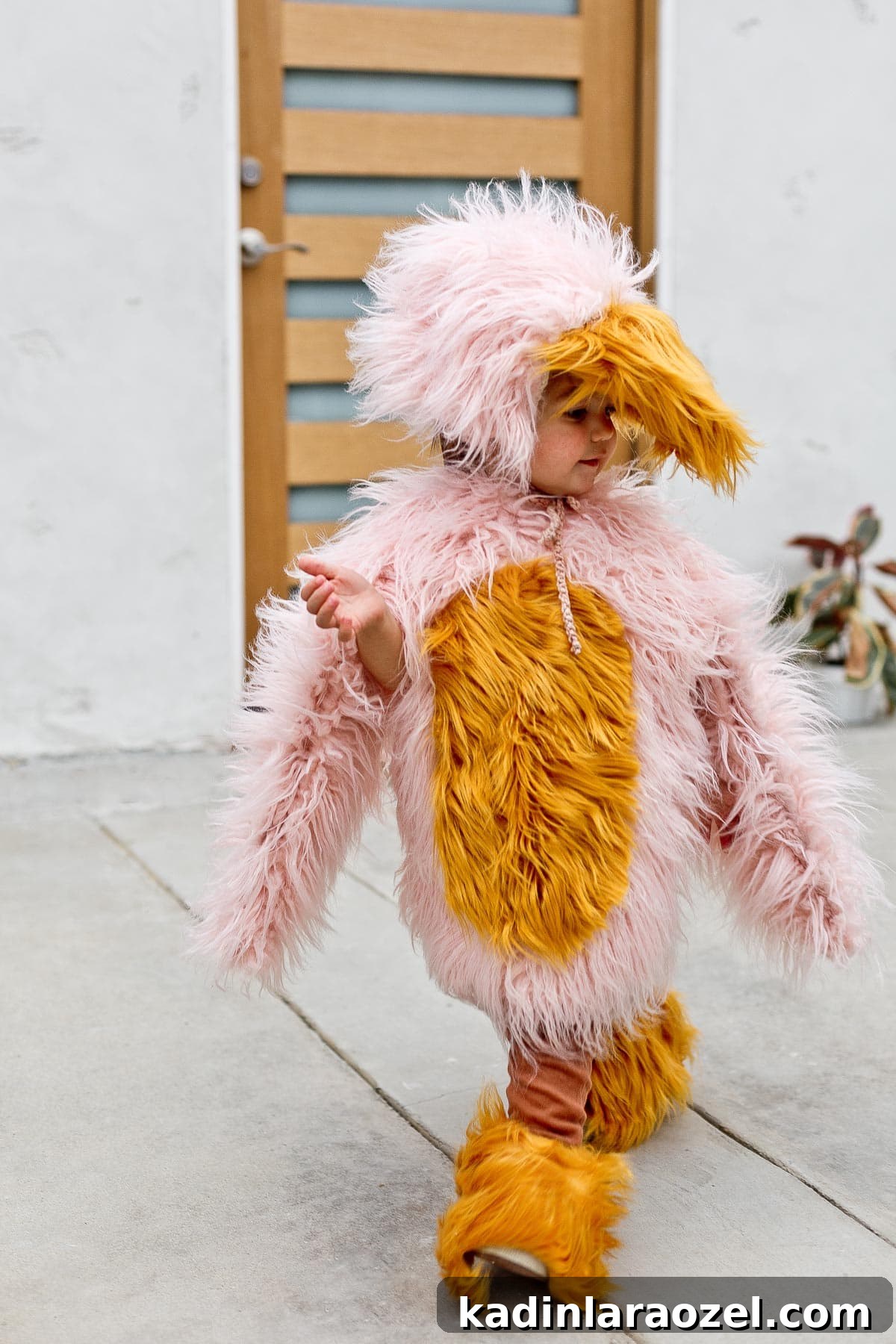 Child wearing pink kids bird costume for Halloween, walking.