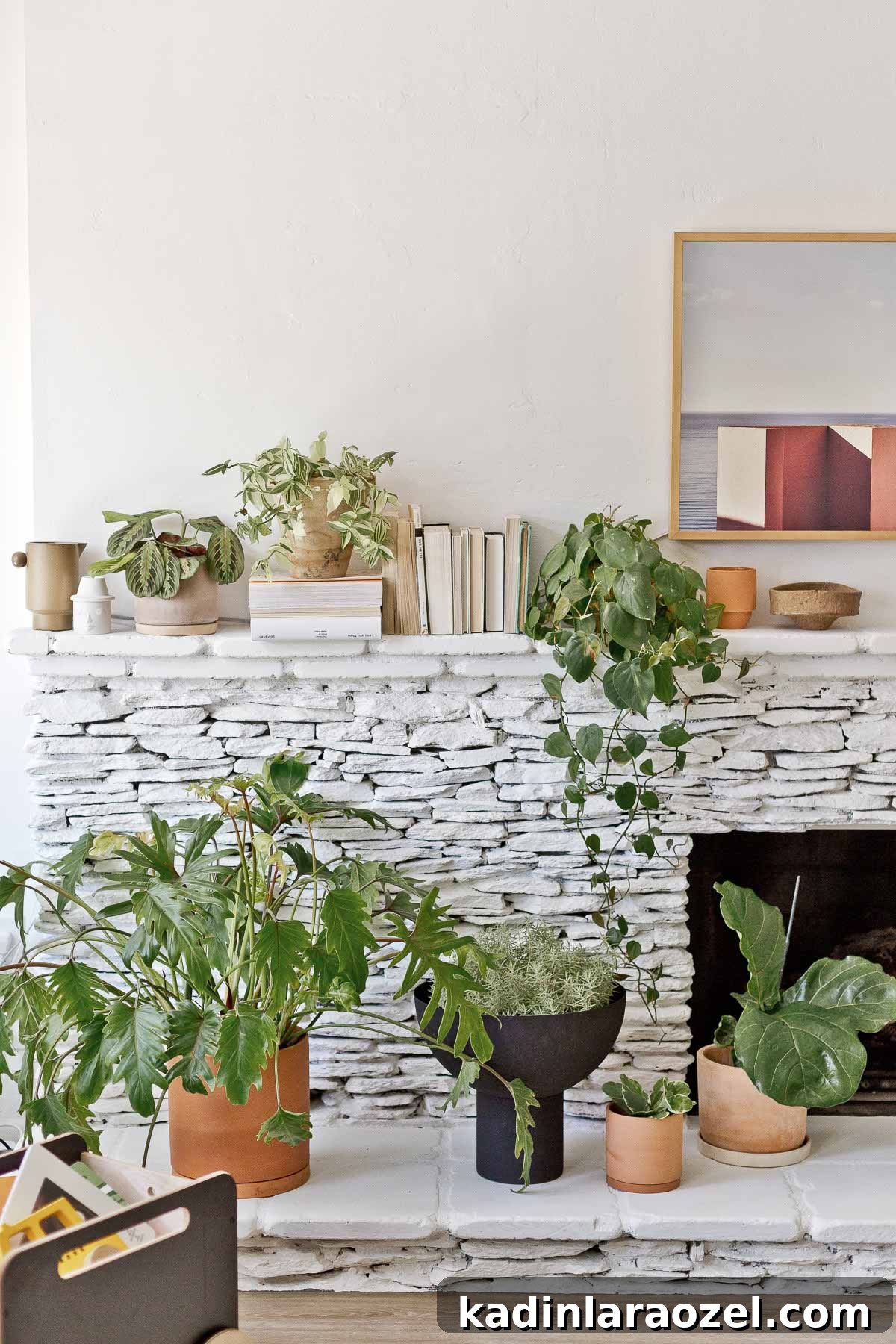 Fireplace Makeover Before & After: Stunning Transformations and Ideas 11 large plants on painted white fireplace hearth of stacked stone