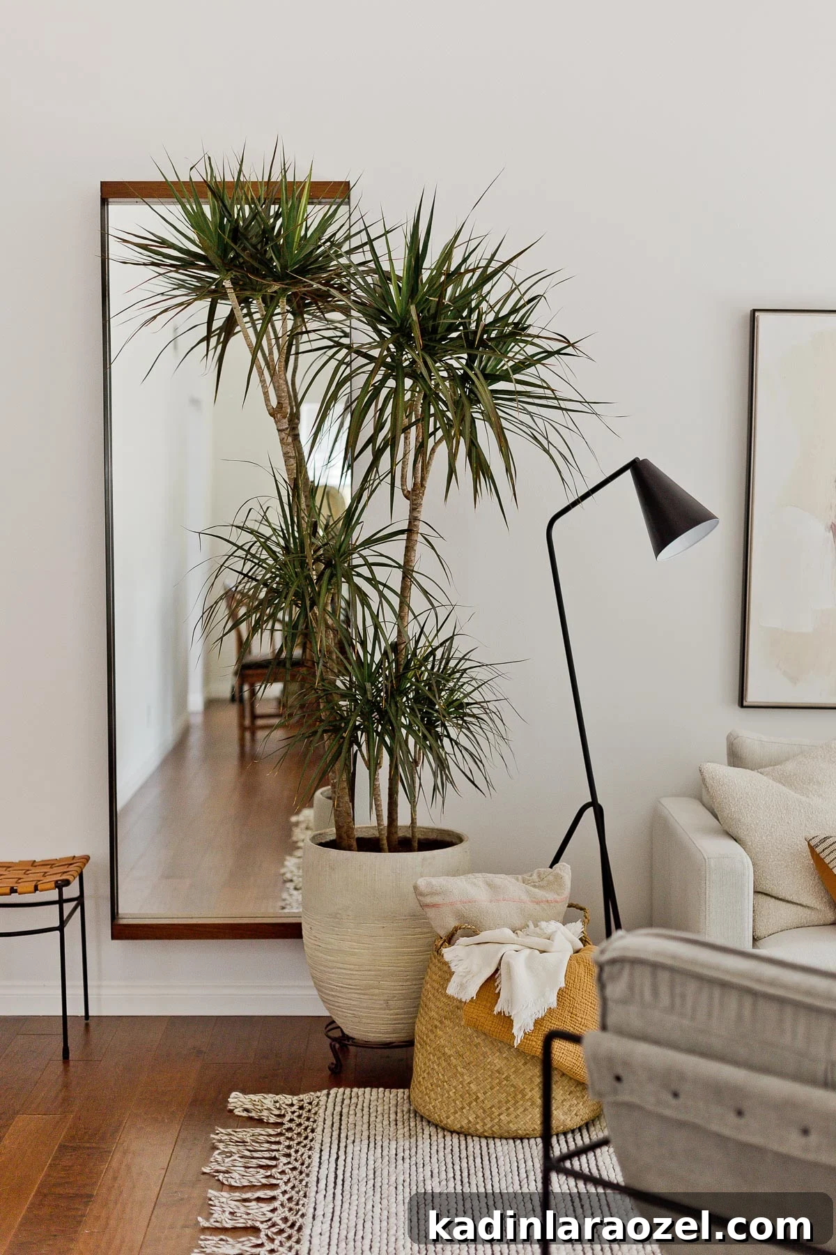 Large plant in front of a tall wall mirror, in a neutral modern living room with ivory and black accents