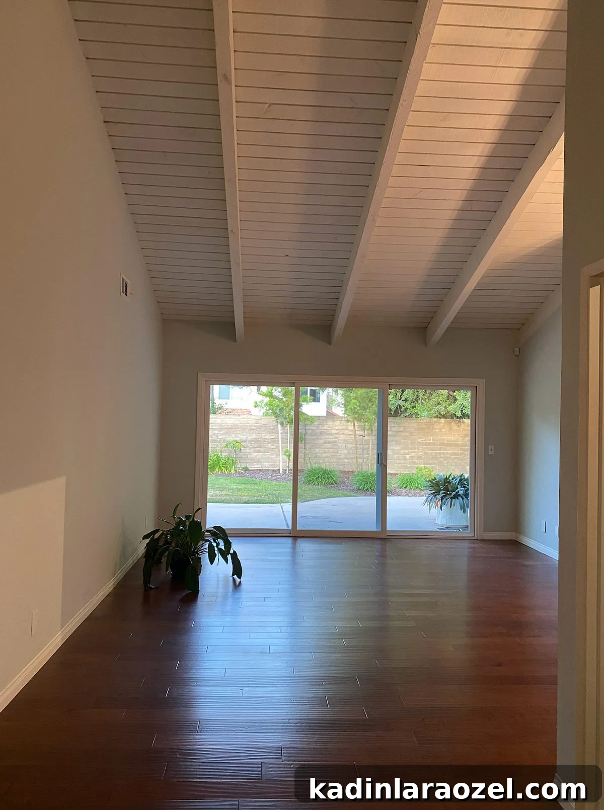 Grey room empty with high ceilings and dark wood floors