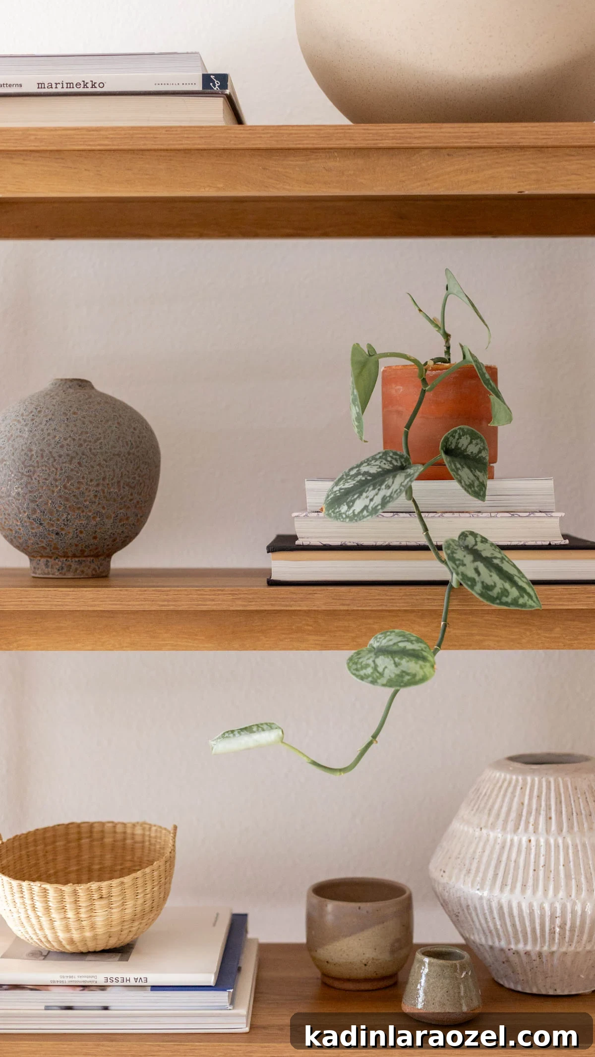 Plants, vases, and books styling on wooden bookshelf with three open shelves