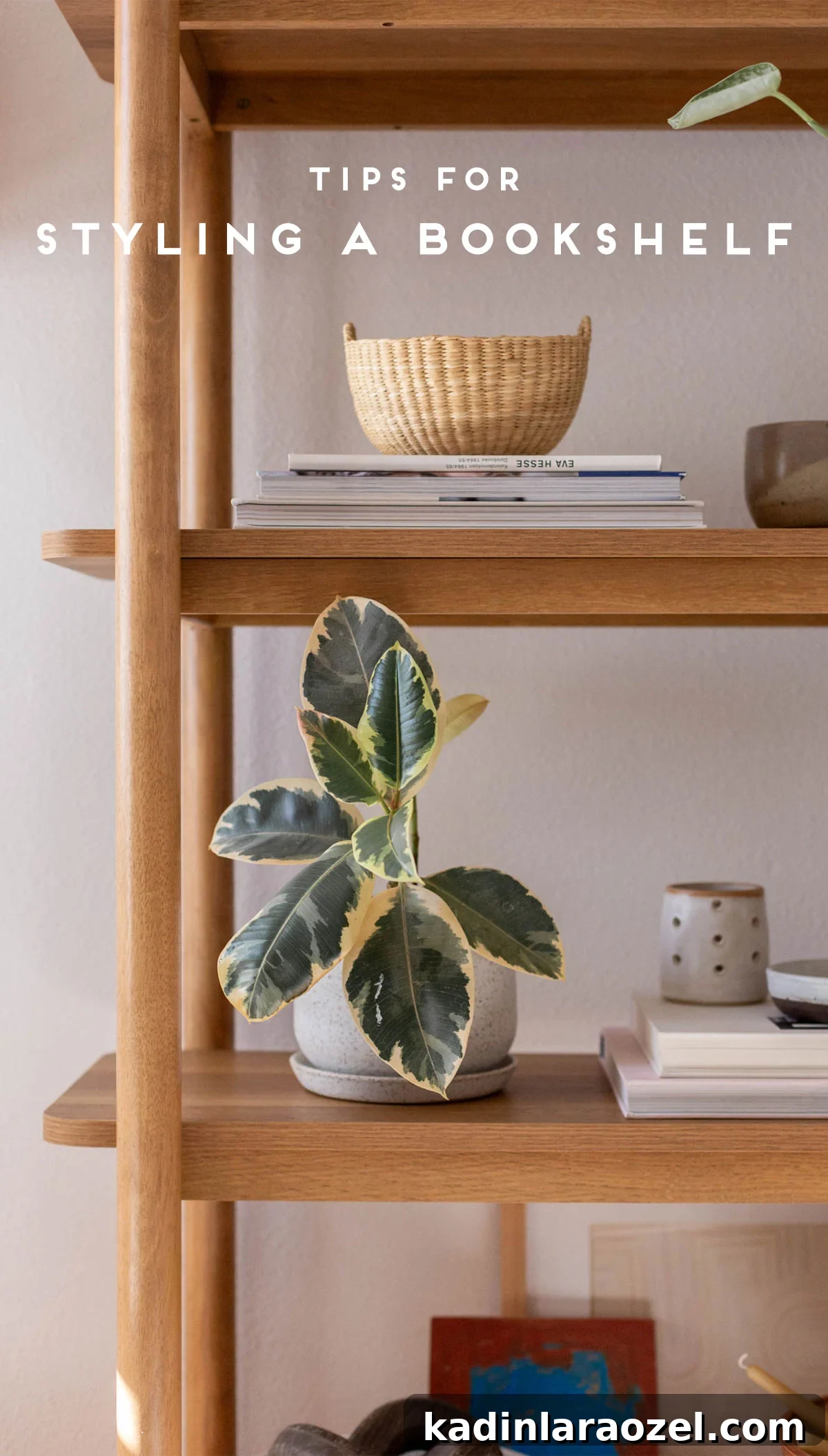 Tall wooden bookcase with plants, pottery, books, and artwork styled on each shelf