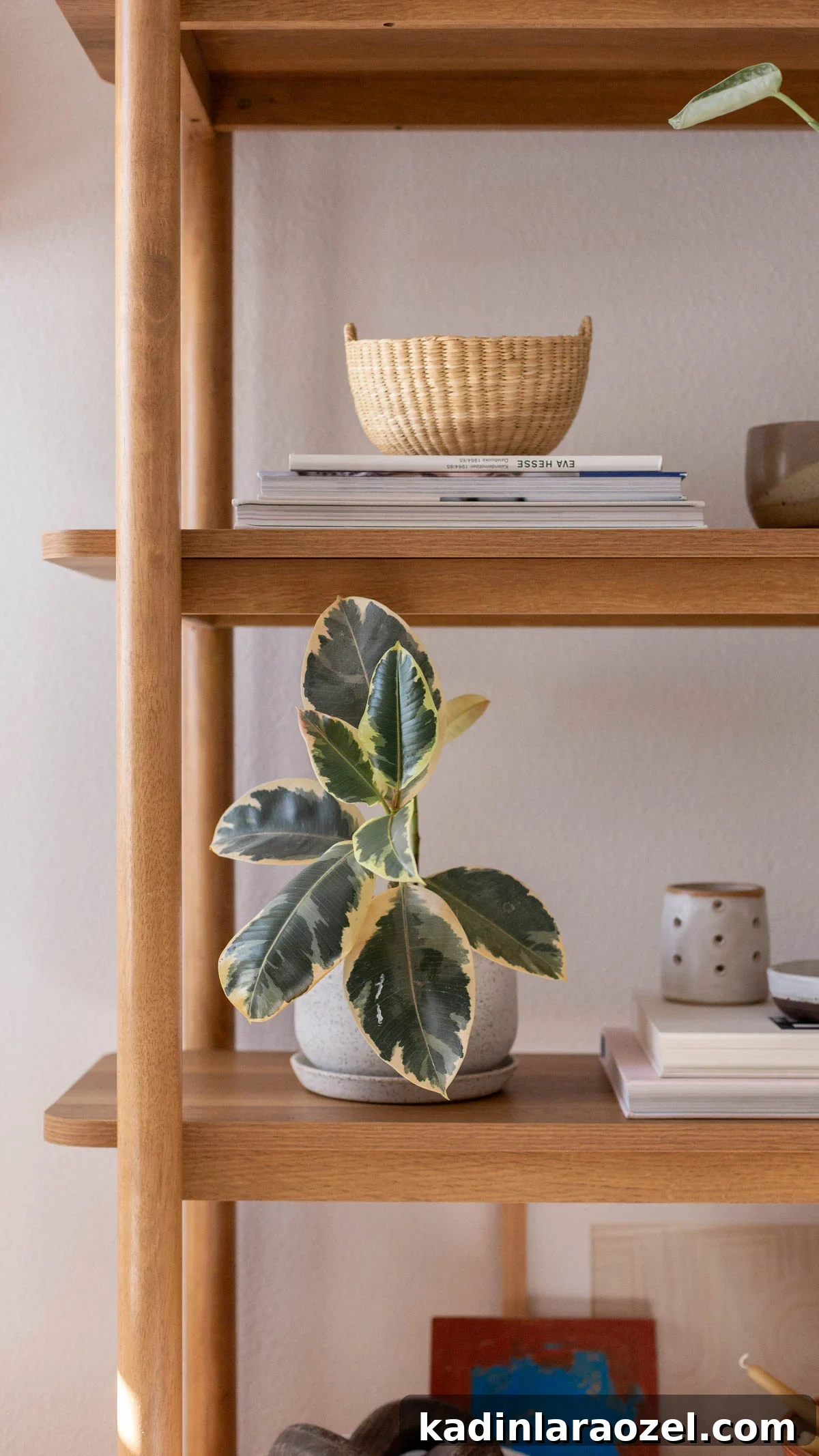 Wooden bookshelf closeup with plants, books, and artwork styling on each shelf