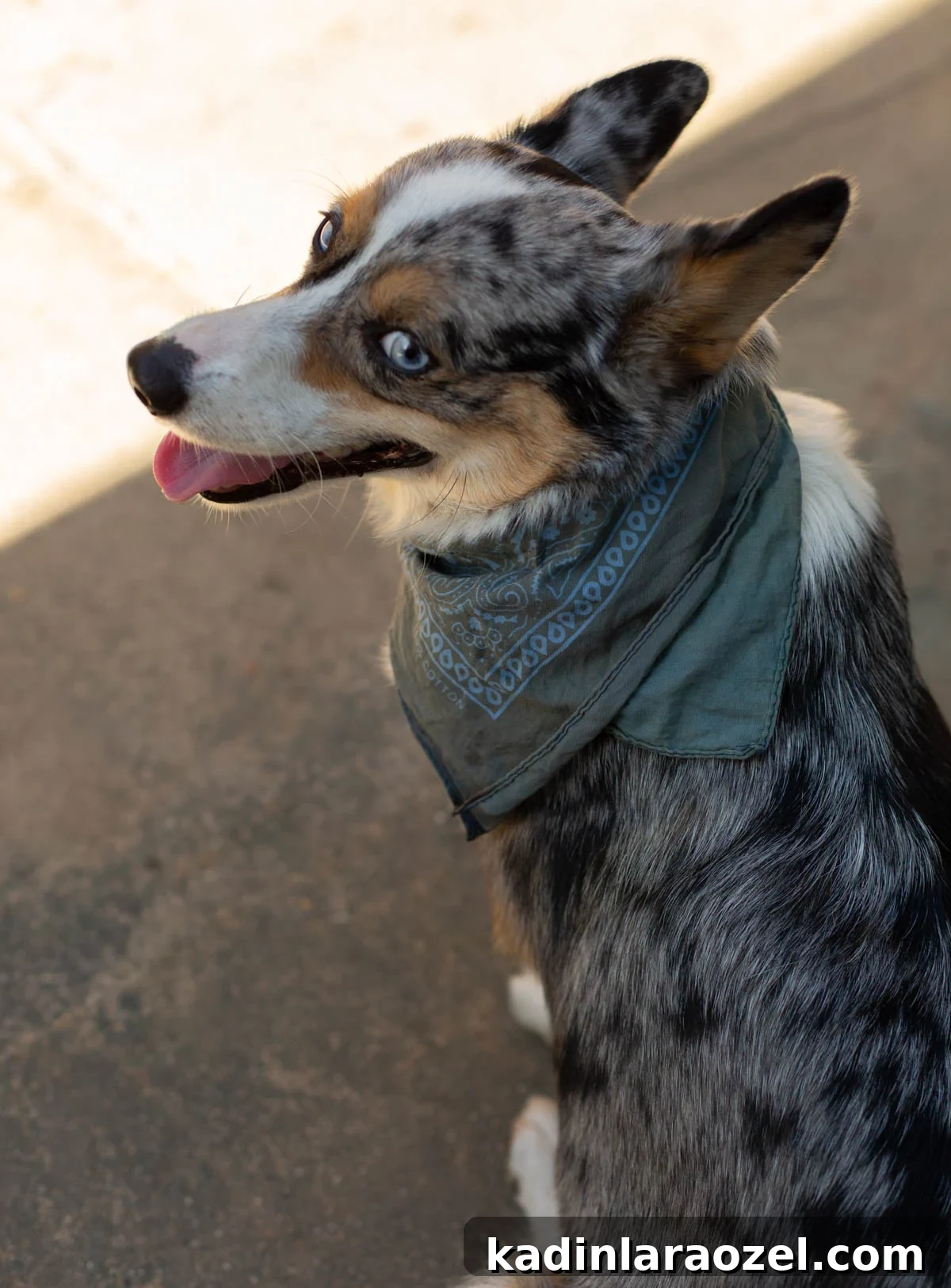DIY Earth-Tone Bandanas: Stylish Patterns & Sewing Tips 9 img 108802 8