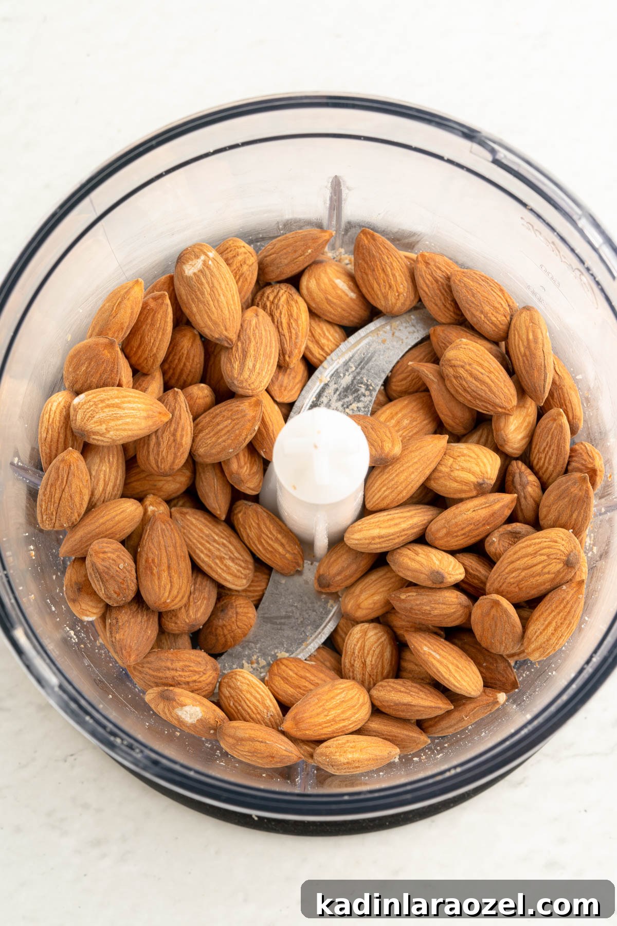 No-Bake Vegan Key Lime Bars — Tangy Creamy Dessert 4 almonds in a food processor